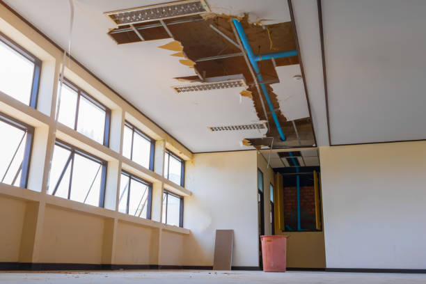 Best Water damage restoration near me  in Jonesboro, LA
