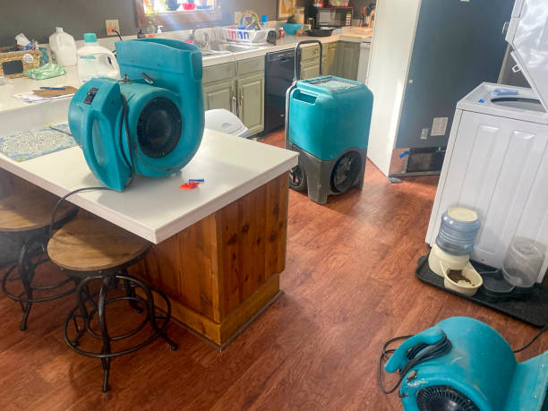 Water damage restoration mold remediation in Jonesboro, LA