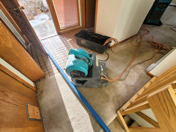 Best 24/7 water damage repair  in Jonesboro, LA