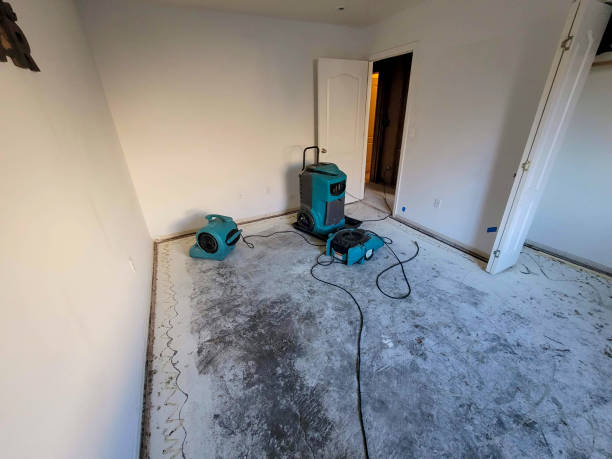 Best Flooded house restoration  in Jonesboro, LA