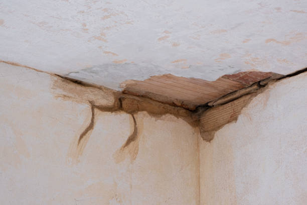 Best Ceiling water damage repair  in Jonesboro, LA