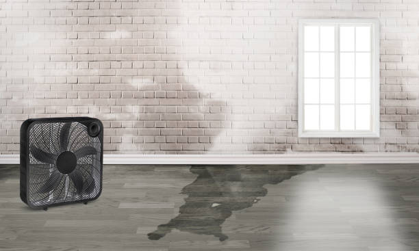 Trusted Jonesboro, LA Water damage restoration Experts