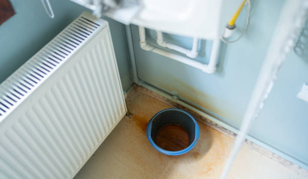 Best Water damage cleanup near me  in Jonesboro, LA