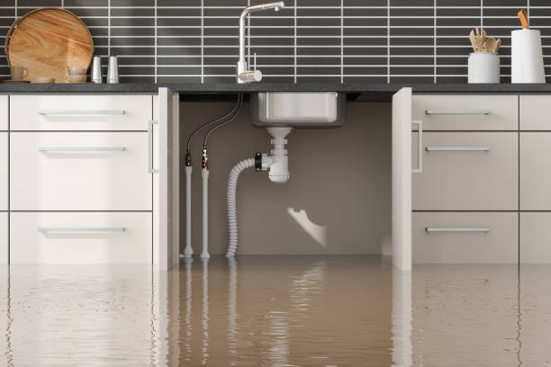 Best Water damage contractors near me  in Jonesboro, LA