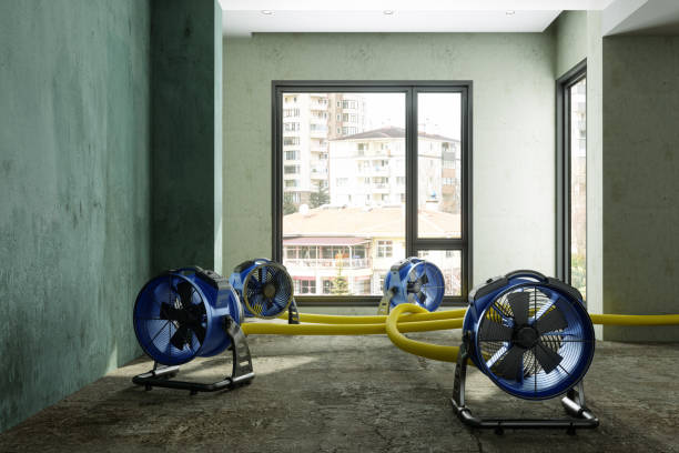 Best Commercial water damage restoration  in Jonesboro, LA