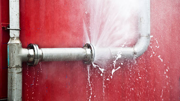 Best Professional water damage repair  in Jonesboro, LA