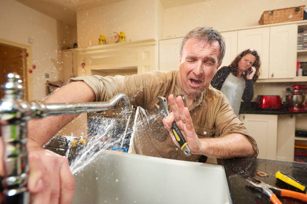 Best Basement water damage restoration  in Jonesboro, LA